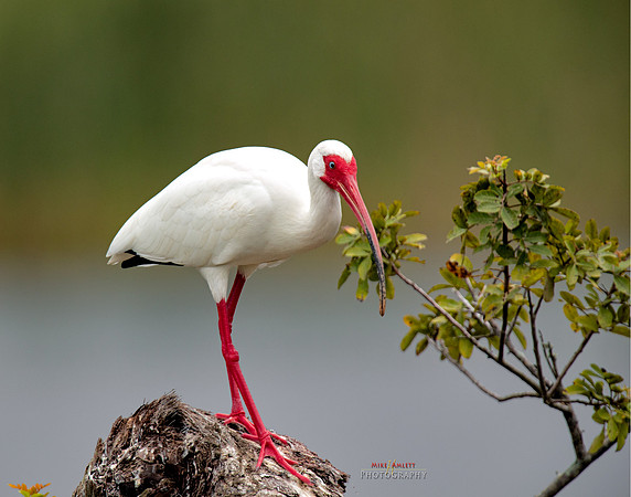 florida-2019-0793-1-copy-3