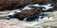 GreatFalls Md_F7A9181 Paltine 2x1